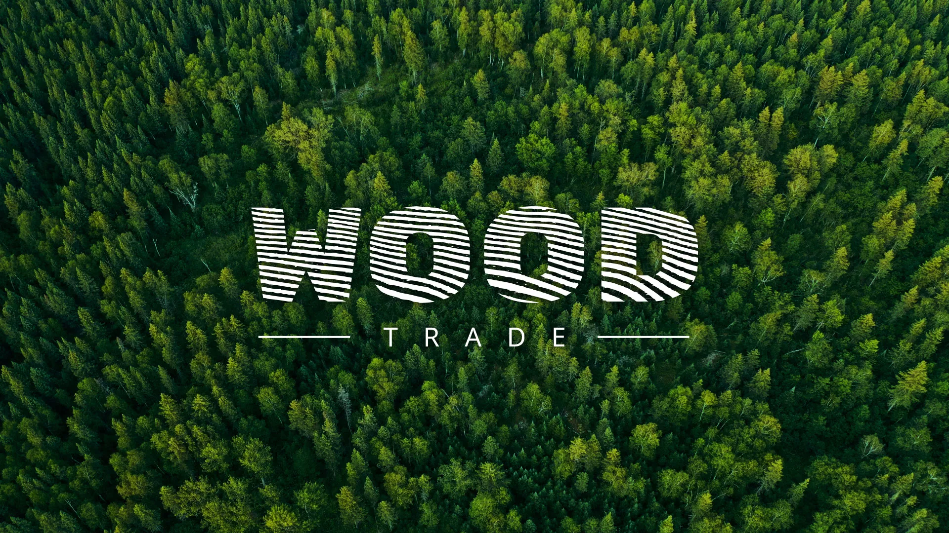 Разработка интернет-магазина компании «Wood Trade» в Кимрах